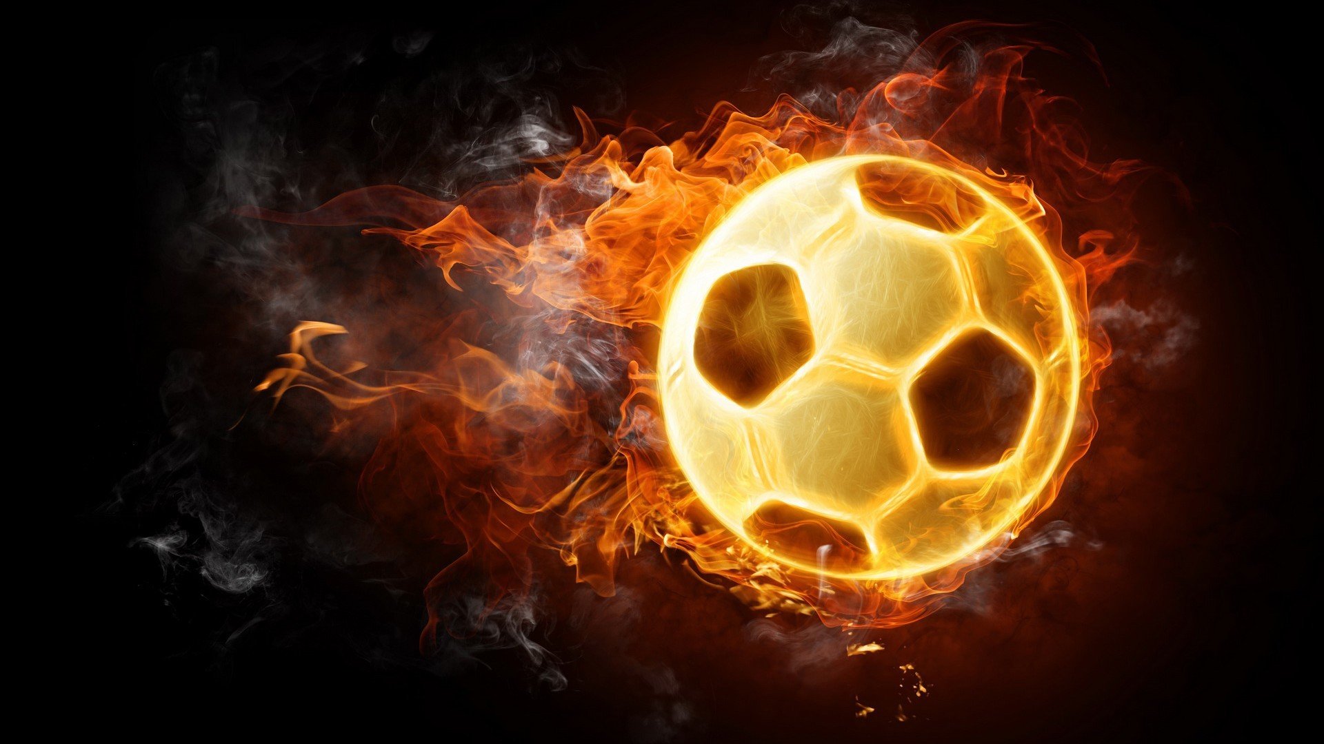 比利时马术协会与非洲马术协会开展技术援助项目，提升当地水平。